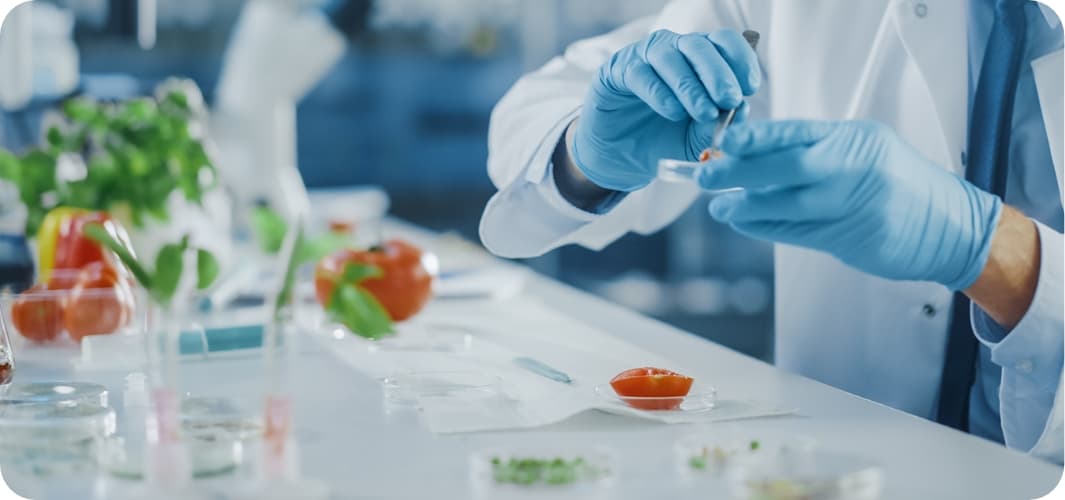 Organic Produce Lab Test Reports